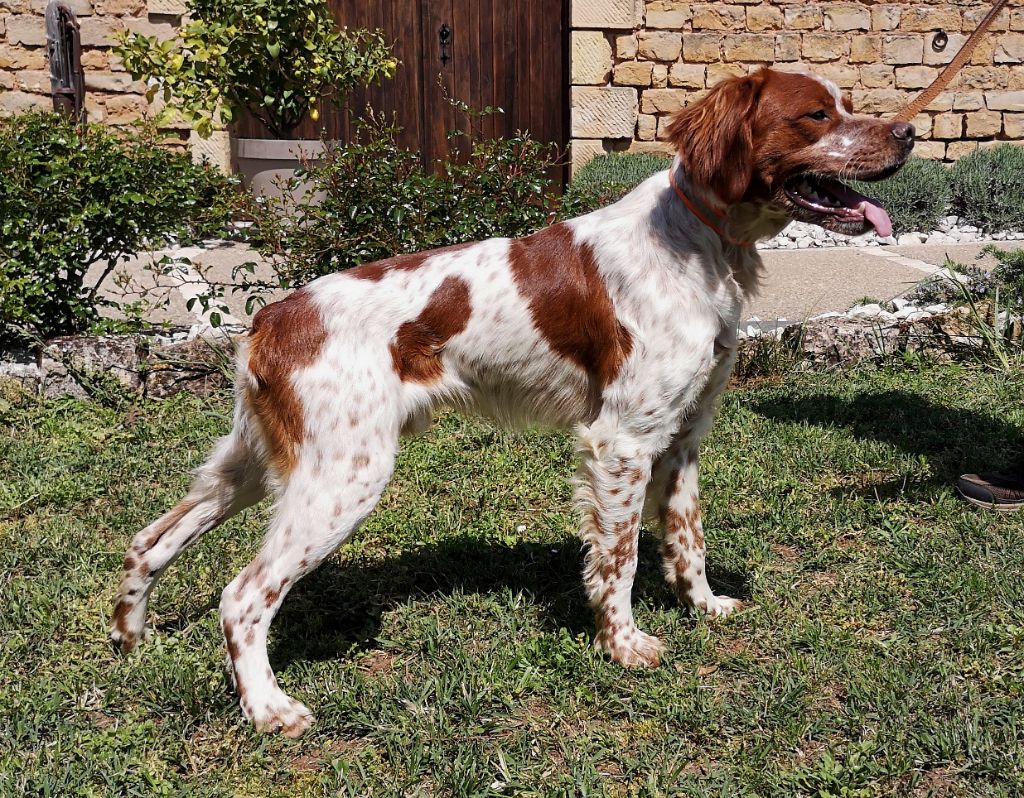 Pixel des Vallons Sérilhacois